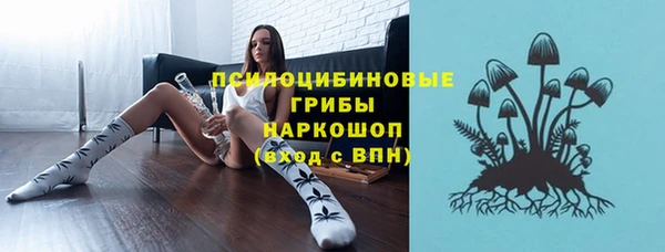 jwh Алзамай