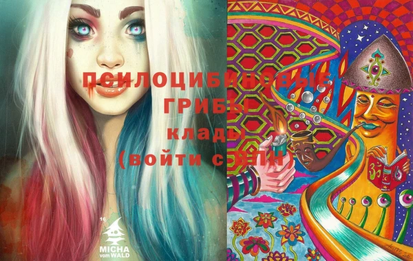 твердый Алексеевка