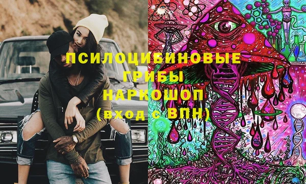 твердый Алексеевка