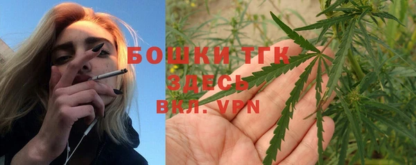 твердый Алексеевка