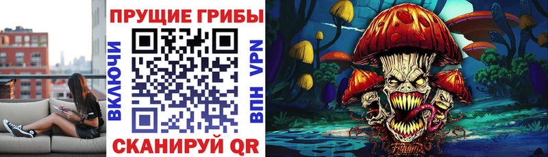 Купить где  Городовиковск  Псилоцибиновые грибы Magic Shrooms 